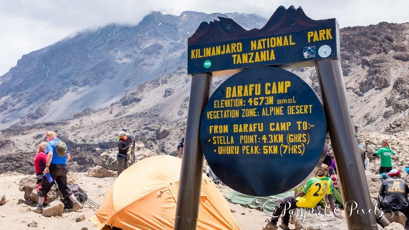 Lemosho summit