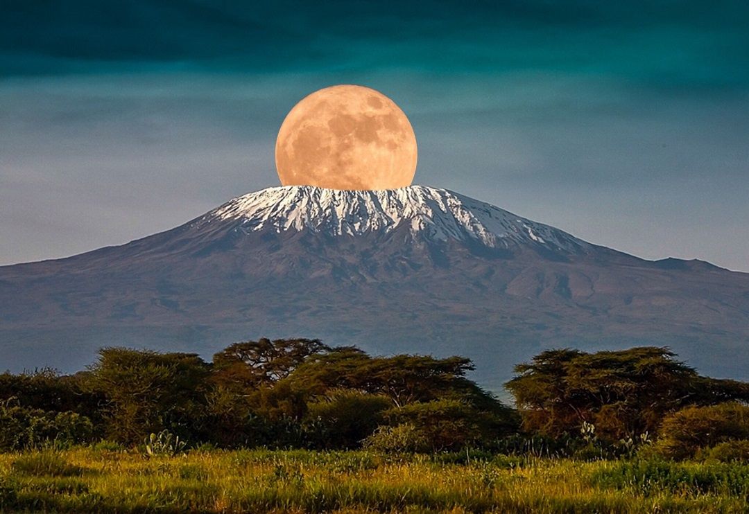 Kilimanjaro Climbing Northern Circuit 9-Day private climb