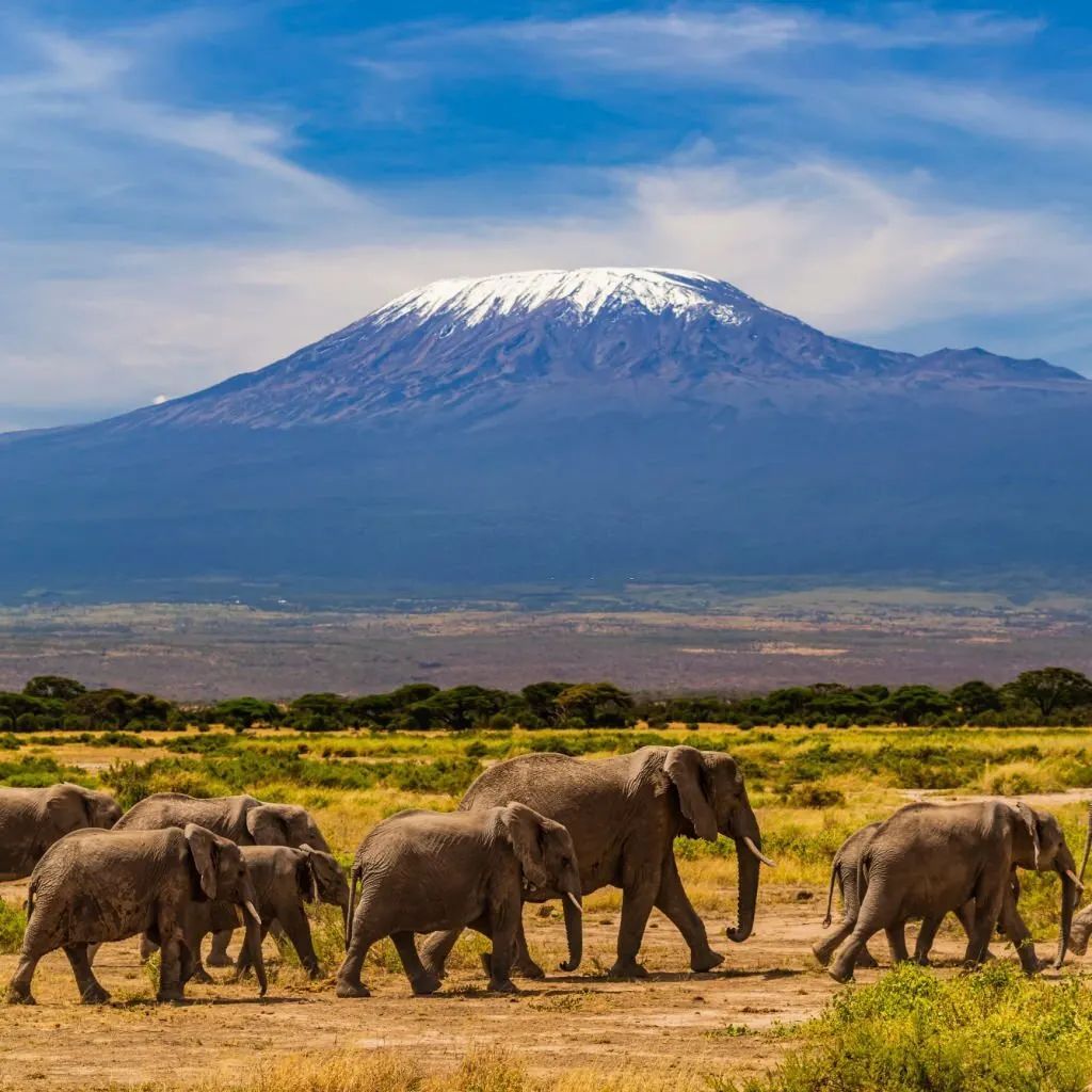 Machame 7-Day