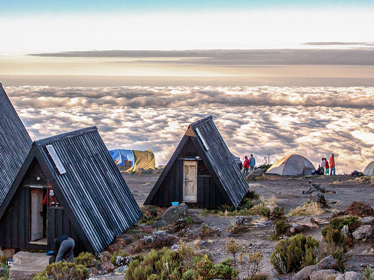Moorland trail to Horombo Hut