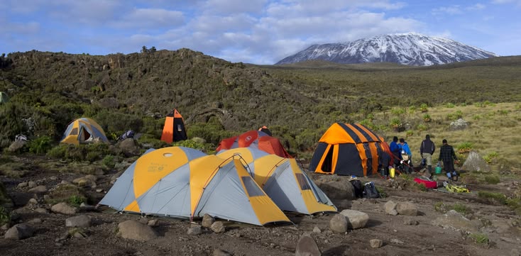 Descent from Machame Camp through heath zone