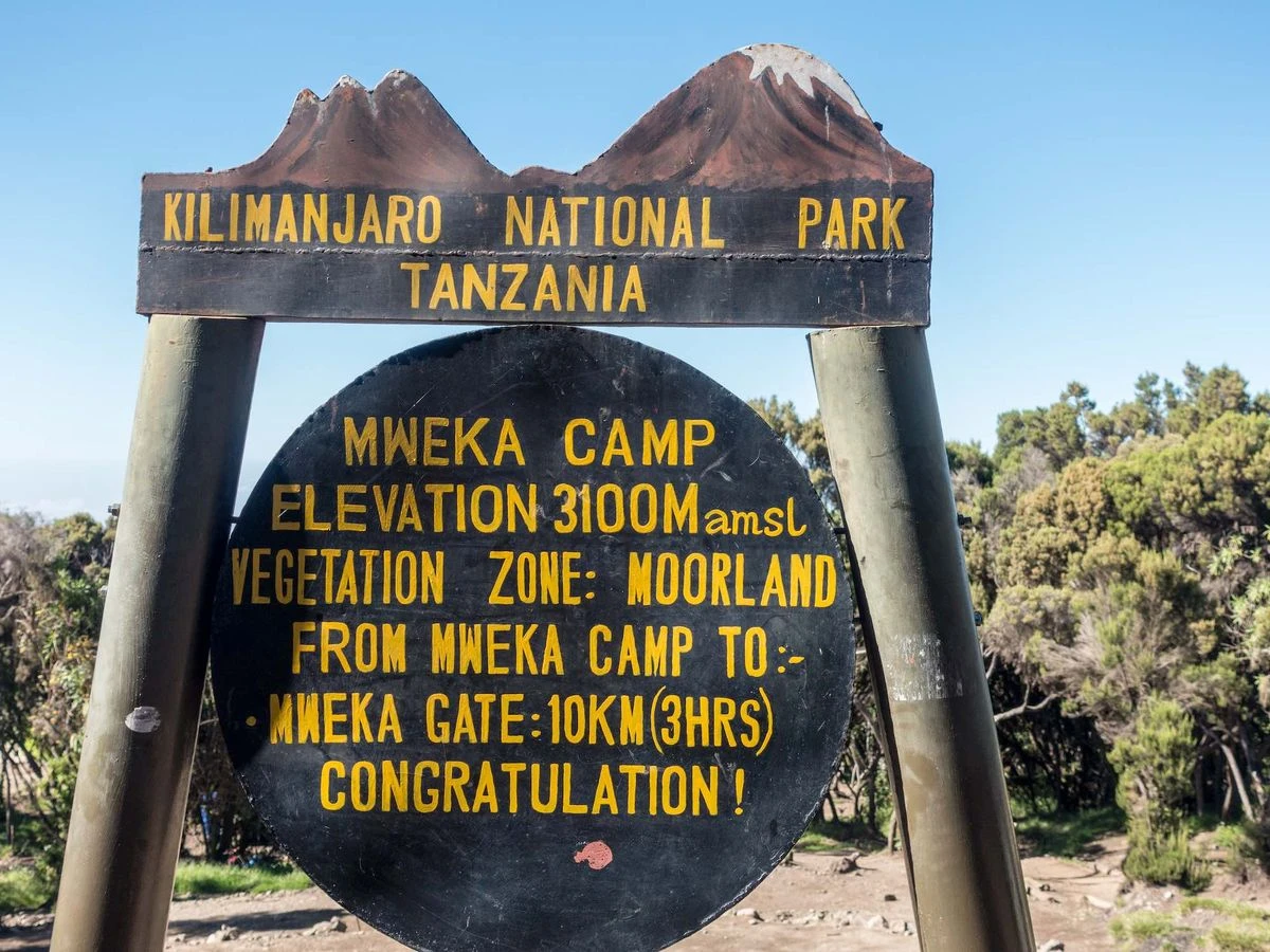 Mweka Camp in the upper forest