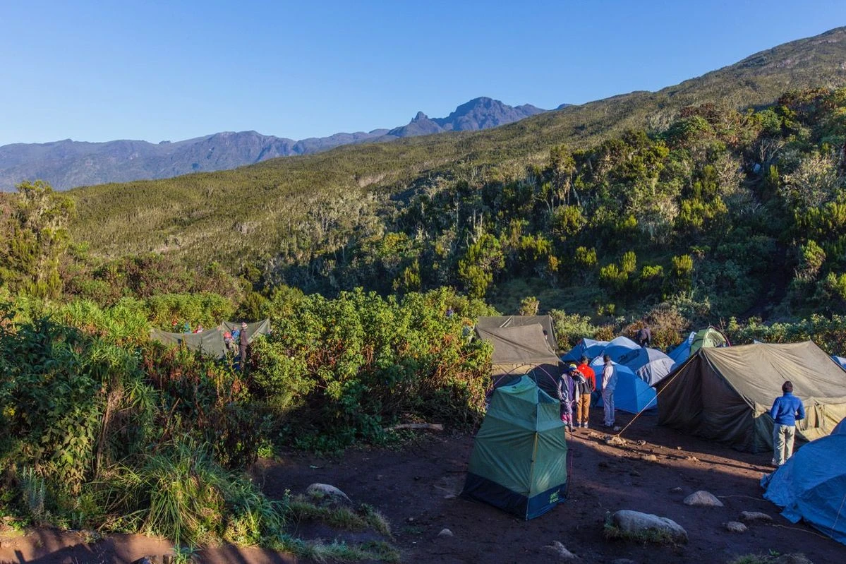 Mweka Camp after the Uhuru Peak summit
