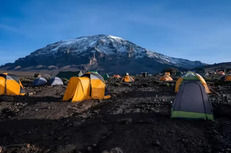 Shira Camp on the Shira Plateau, Mount Kilimanjaro